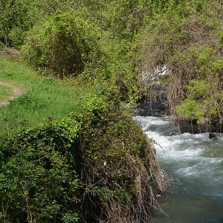 Rilhadas Fafe