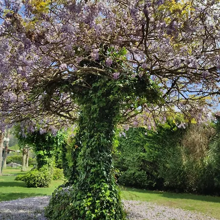 坎普里哈达斯农家乐