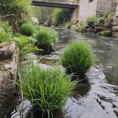 팜스테이 Rilhadas *