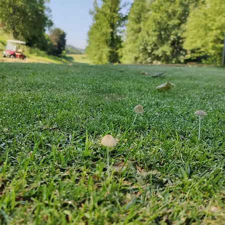 Séjour à la ferme Rilhadas *