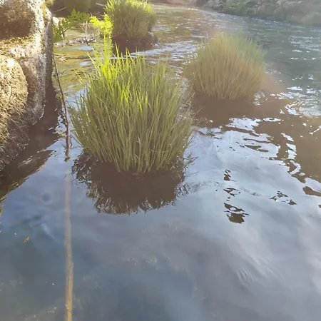 Rilhadas Séjour à la ferme Fafe
