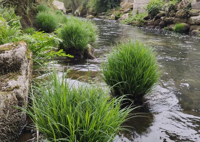 Agroturismo Rilhadas *