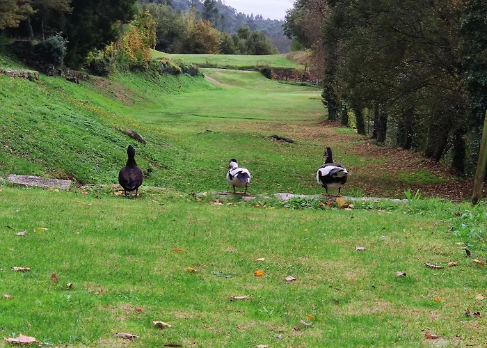 Rilhadas Agroturismo *