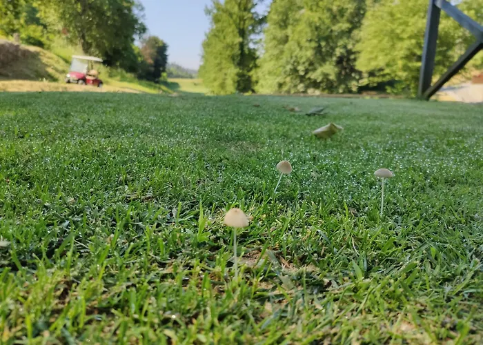 Agroturismo Rilhadas *