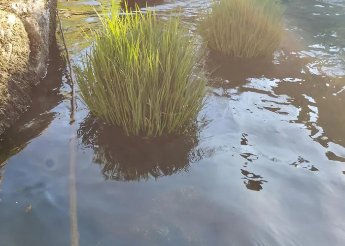 Rilhadas Vakantieboerderij Fafe